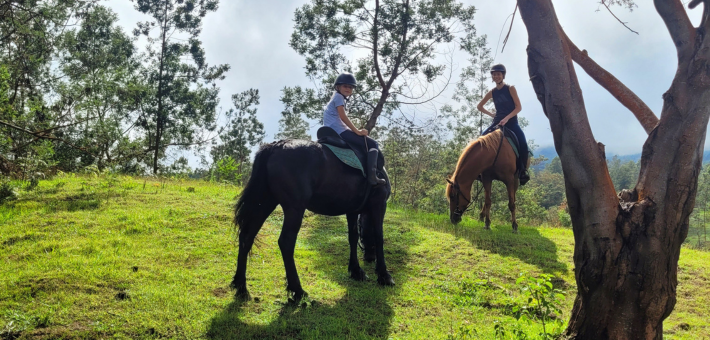 Randonnée à cheval sur l’île de La Réunion - Caval&go