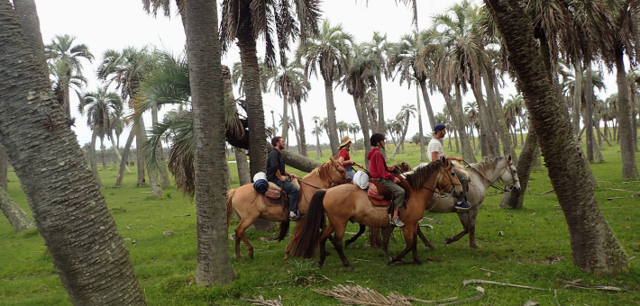 Chevauchée uruguayenne et immersion chez les gauchos - Caval&go