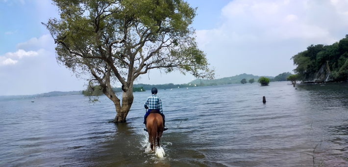 Escapade équestre au cœur de la culture et de la nature du Sri Lanka - Caval&go