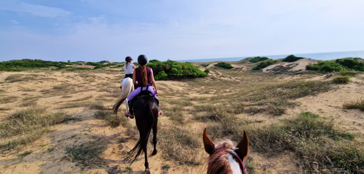 Grande traversée du Sri Lanka, entre immersion culturelle et randonnées à cheval - Caval&go