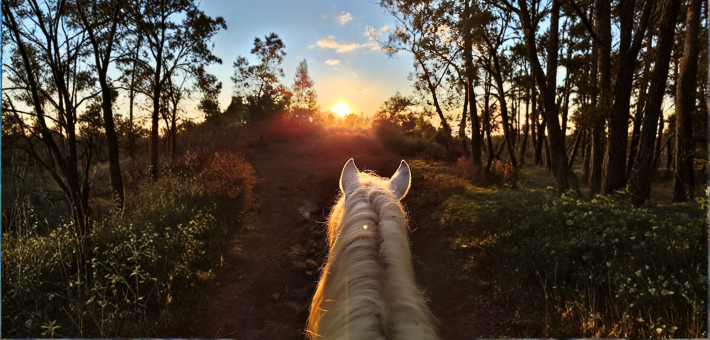 Randonnée à cheval sur l’île de La Réunion - Caval&go