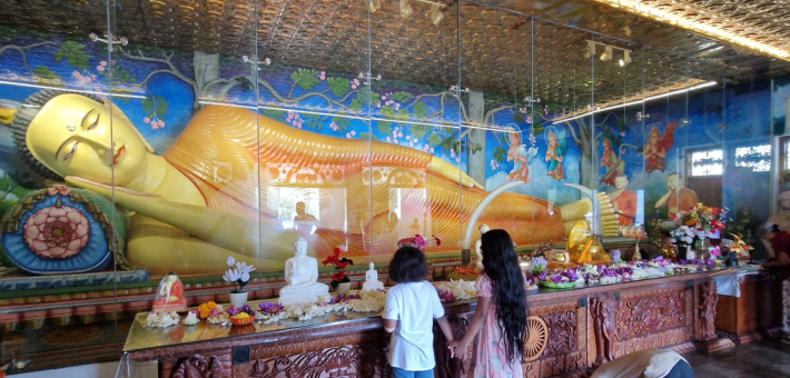 Escapade équestre au cœur de la culture et de la nature du Sri Lanka - Caval&go