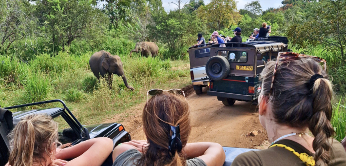 Escapade équestre au cœur de la culture et de la nature du Sri Lanka - Caval&go
