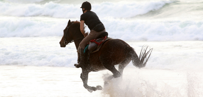 Stage de perfectionnement équestre sur les plages des Landes - Caval&go