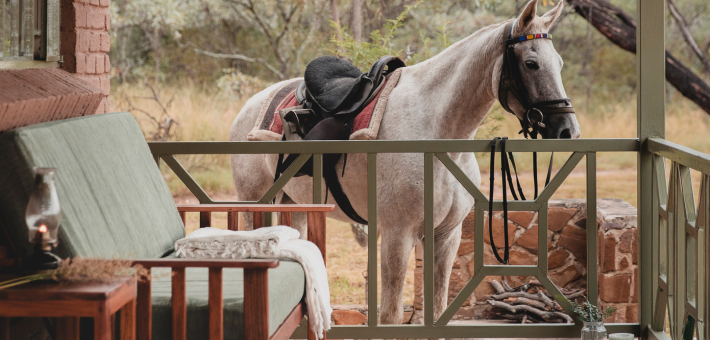 Safari équestre pour cavaliers confirmés dans une réserve privée en Afrique du Sud - Caval&go