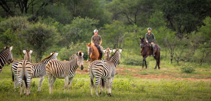 Safari à cheval à la découverte de deux réserves et observation des Big 5 en Afrique du Sud - Caval&go
