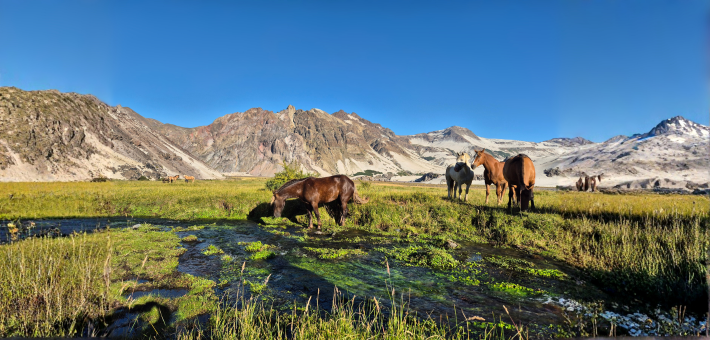 Chevauchée des lacs Andins, au cœur du Chili - Caval&go