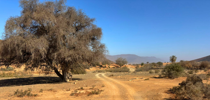 Chevauchée au Maroc, sur les traces des nomades berbères - Caval&go