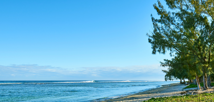 Randonnée à cheval sur l’île de La Réunion - Caval&go