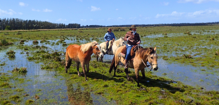 Randonnée équestre en Uruguay immersion chez les gauchos version longue - Caval&go