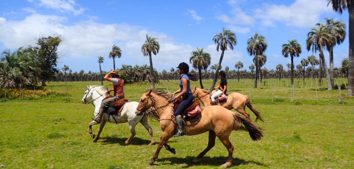 Randonnée équestre en Uruguay immersion chez les gauchos version longue - Caval&go