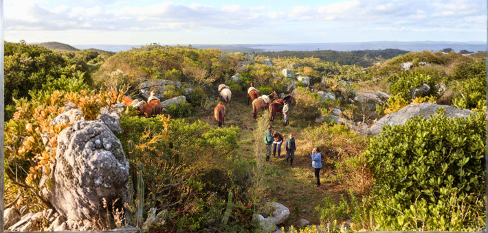 Randonnée équestre en Uruguay immersion chez les gauchos version longue - Caval&go