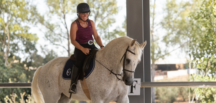 Stage prestige en dressage de haute école sur chevaux andalous à Séville - Caval&go