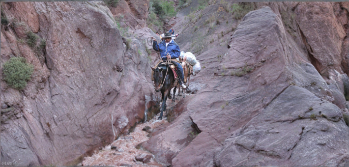 Randonnée à cheval en Argentine à Salta – Sur les chemins des Incas, version longue au cœur des Andes