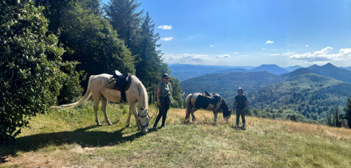 Randonnée équestre tous niveaux au cœur des vallées et massifs vosgiens - Caval&go