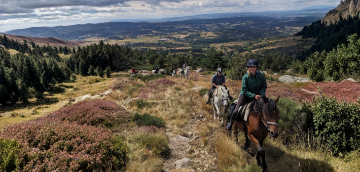 Randonnée équestre en autonomie à la découverte de la Lozère secrète - Caval&go