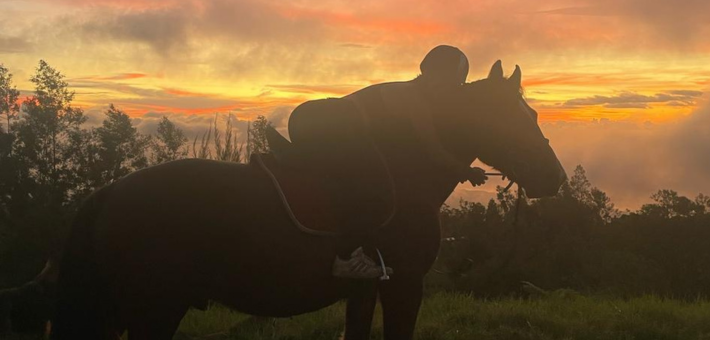 Randonnée et activités équestres à La Réunion - Caval&go