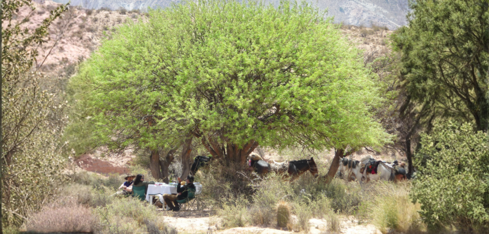 Randonnée à cheval en Argentine à Salta – Sur les chemins des Incas, version longue au cœur des Andes