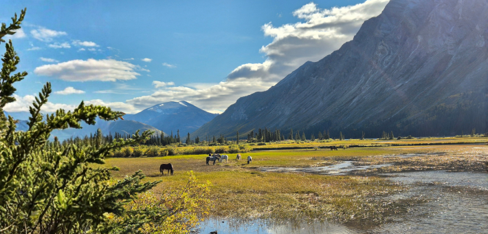 Expedition équestre à la frontière de l