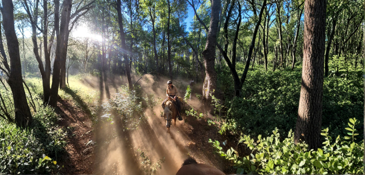 Chevauchée des lacs Andins, au cœur du Chili - Caval&go