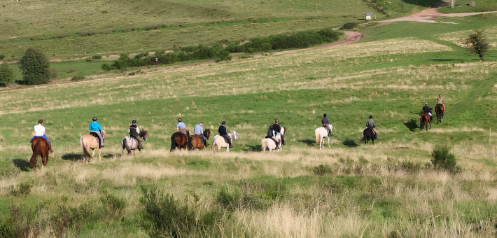 Randonnée équestre tous niveaux au cœur des vallées et massifs vosgiens - Caval&go