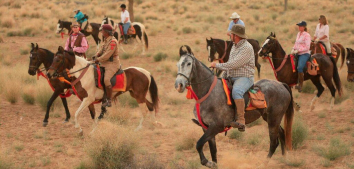 Randonnée équestre en Inde et fête traditionelle de Nagaur - Caval&go
