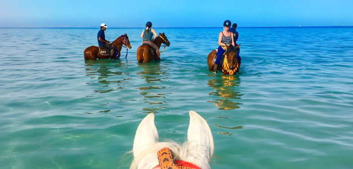 Escapade à cheval en Egypte : des Pyramides à la Mer Rouge - Caval&go