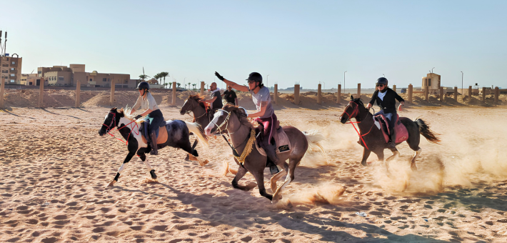 Escapade à cheval en Egypte : des Pyramides à la Mer Rouge - Caval&go