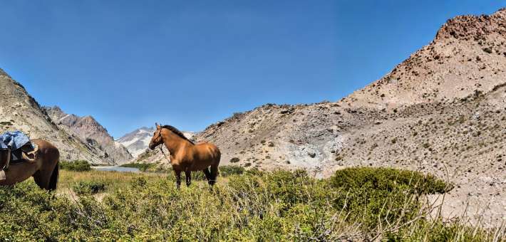 Chevauchée des lacs Andins, au cœur du Chili - Caval&go