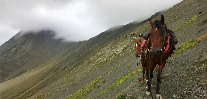 Randonnée équestre en Géorgie sur les sentiers de Touchétie accompagnée par Audrey - Caval&go