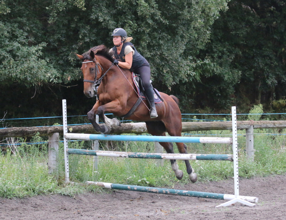 Stage de perfectionnement équestre CSO sur les plages des Landes pour adultes