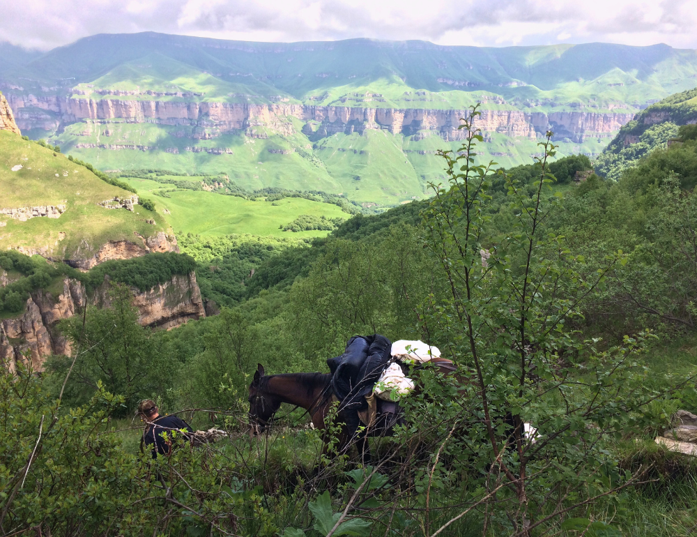 Randonn&eacute;e &eacute;questre en G&eacute;orgie sur les sentiers de Touch&eacute;tie 