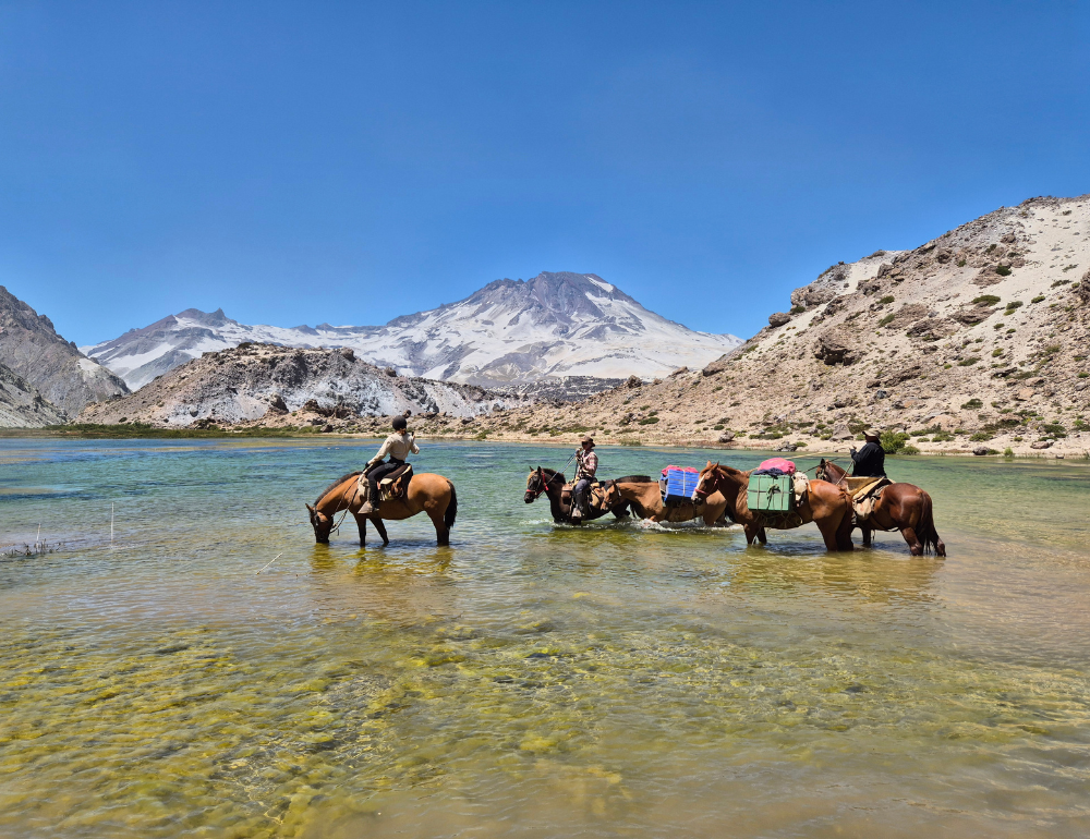 Expédition à cheval dans la Cordillère des Andes, au cœur du Chili