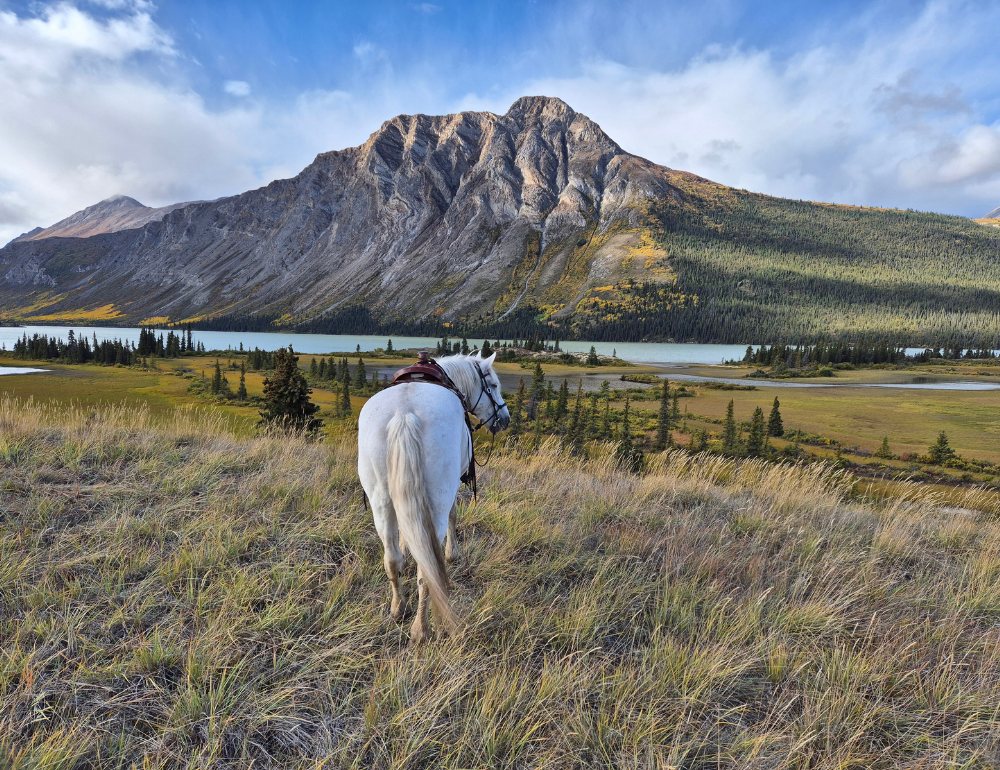Expédition équestre à la frontière de l'Alaska dans le Yukon, Canada