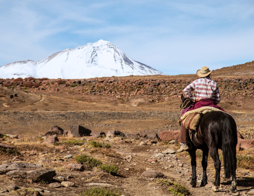 Expédition à cheval dans les Andes, au cœur du Chili