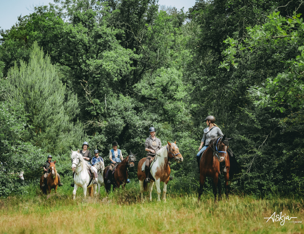 Week-end à cheval en forêt de Fontainebleau et hébergement confortable 4*