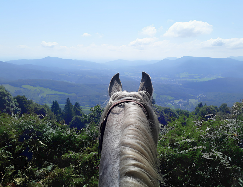 Randonn&eacute;e &eacute;questre tous niveaux au c&oelig;ur des vall&eacute;es et massifs vosgiens