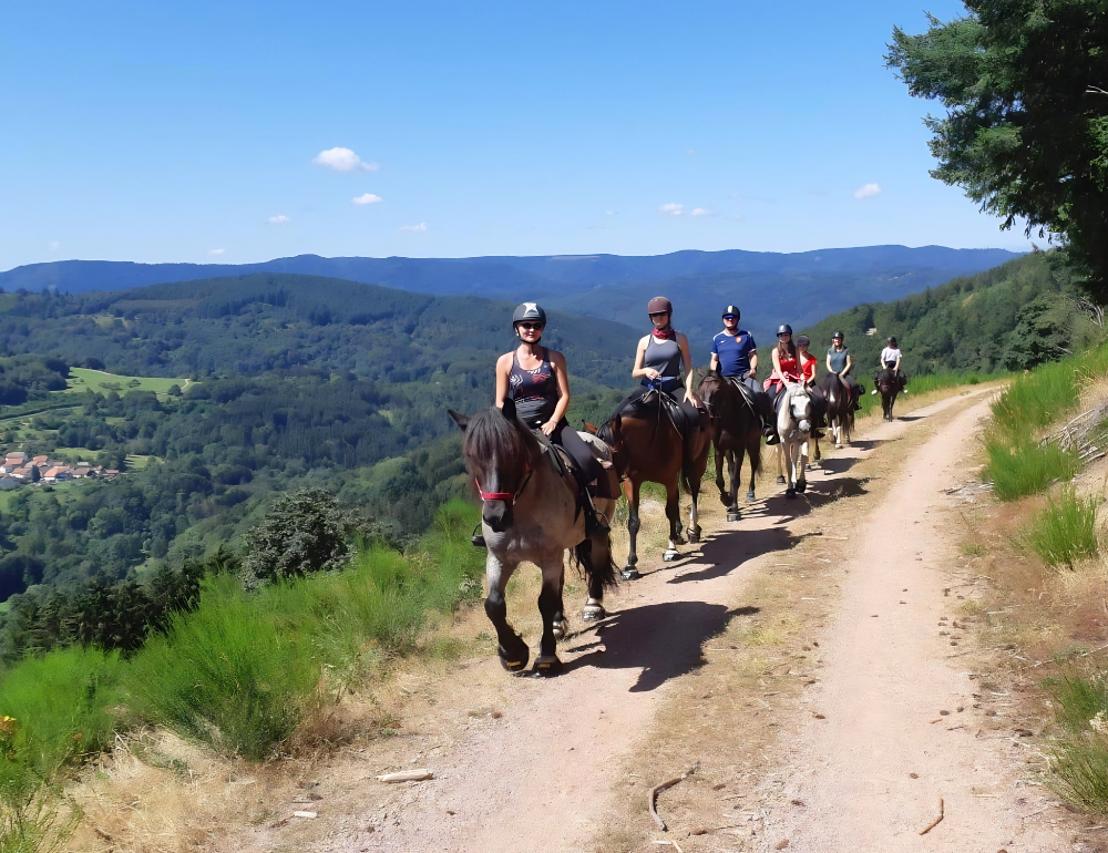 Randonn&eacute;e &eacute;questre tous niveaux au c&oelig;ur des vall&eacute;es et massifs vosgiens