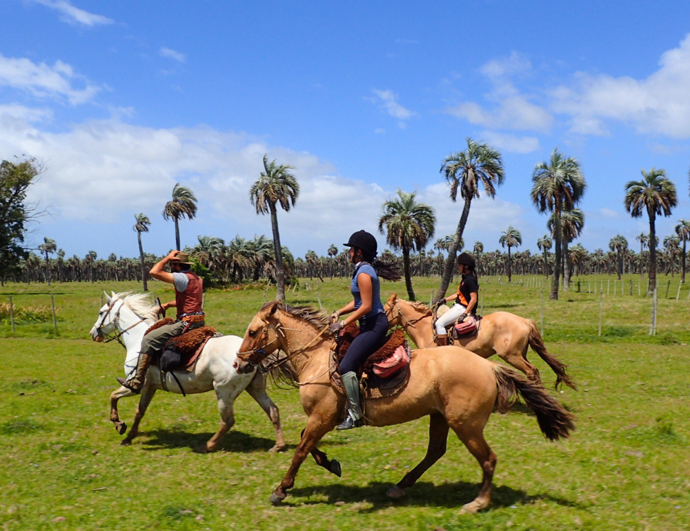 Randonn&eacute;e &eacute;questre en Uruguay, immersion chez les gauchos - Version longue