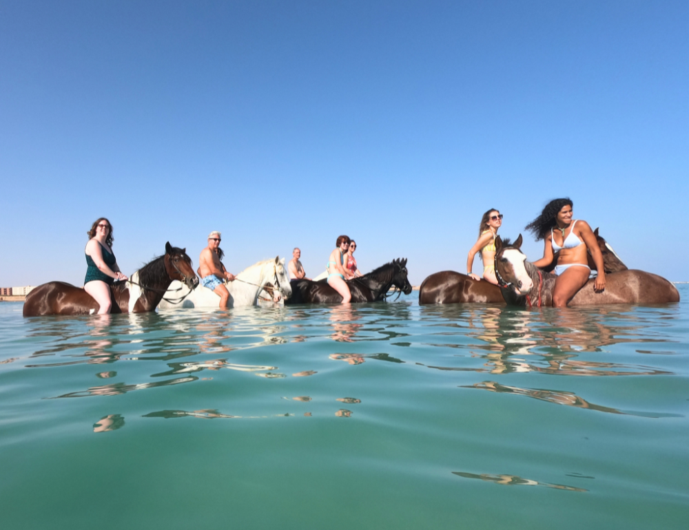 Escapade à cheval en Egypte : des Pyramides à la Mer Rouge