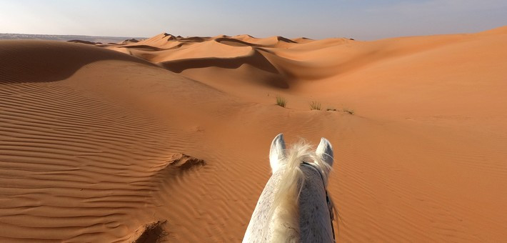 Randonnée équestre Oman Sindibad