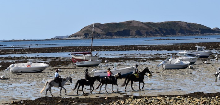 Randonnée à cheval de charme et sportive sur la côte de Granit Rose - Caval&go