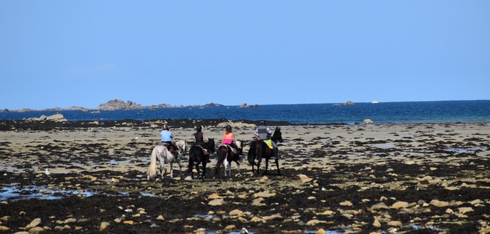 Randonnée à cheval de charme et sportive sur la côte de Granit Rose - Caval&go