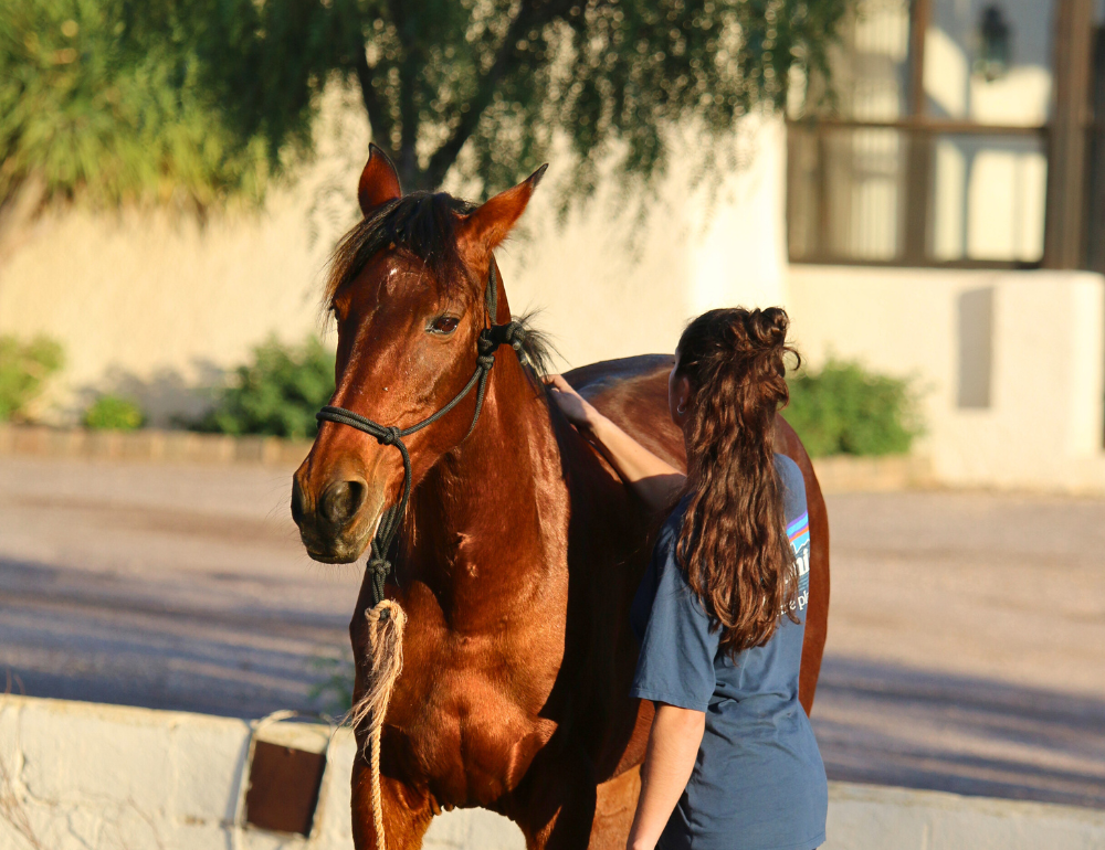 Séjour d'équitation éthologique et randonnée équestre sur les plages d'Andalousie