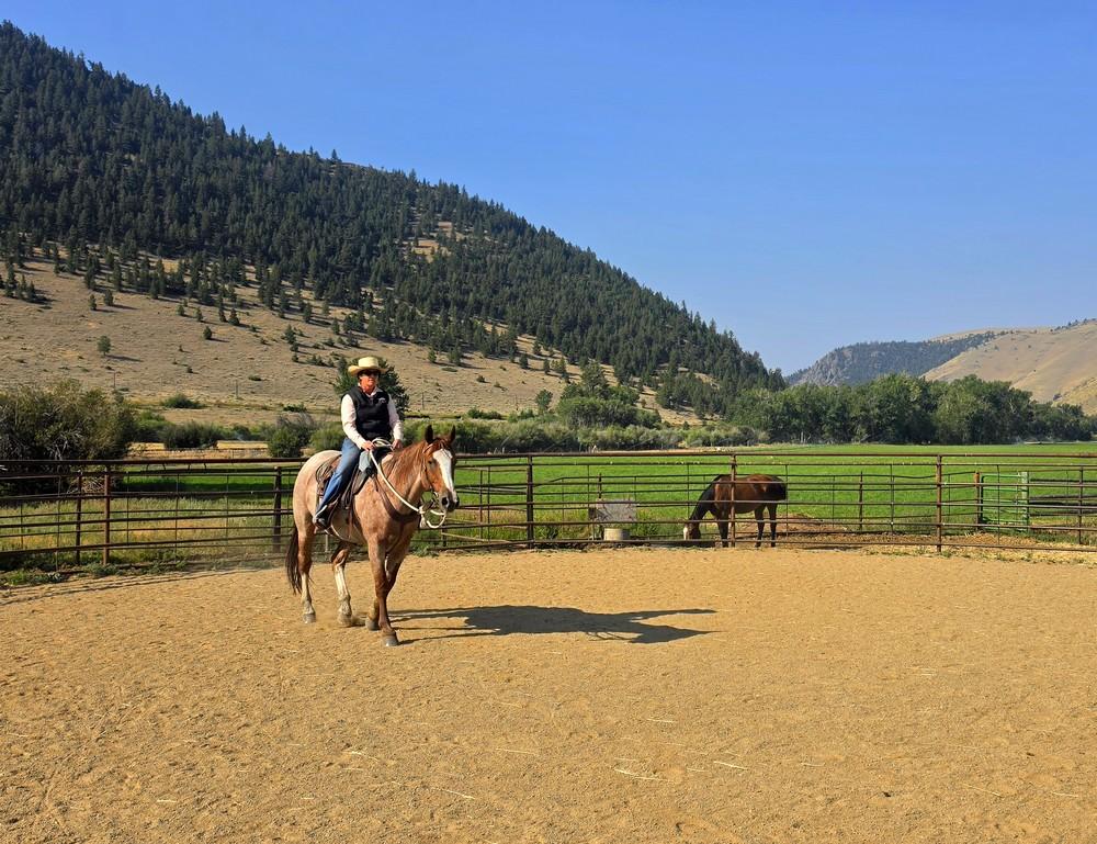 Immersion dans un ranch familial au Montana : Cheval & Natural Horsemanship