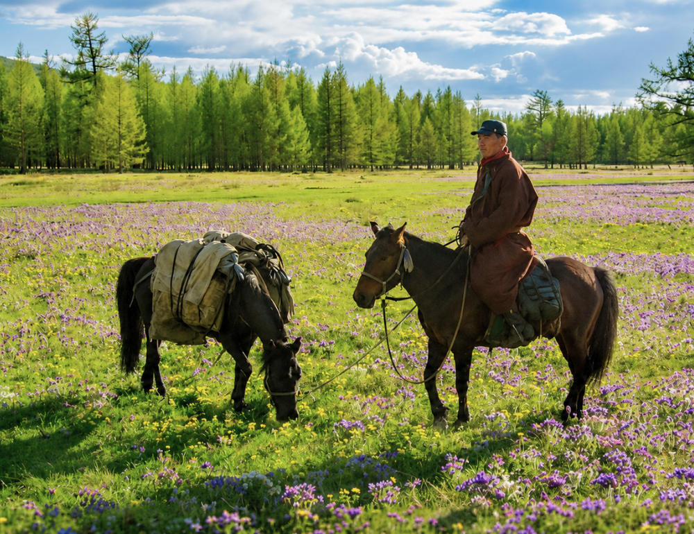 Randonnée à cheval en autonomie dans la région du Khentii