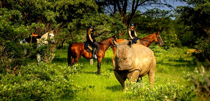 Séjour en lodge haut de gamme et safari à cheval - Caval&go