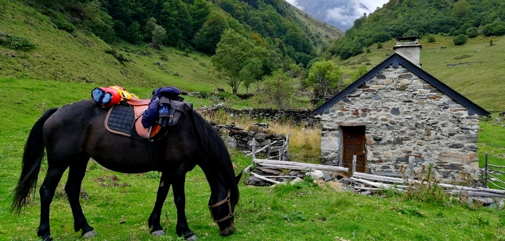 Séjour équestre ado "Chevauchée Pyrénéenne" - Caval&go 
