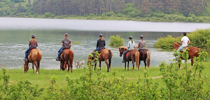 Randonnée équestre à travers le Karst Slovène - Caval&go