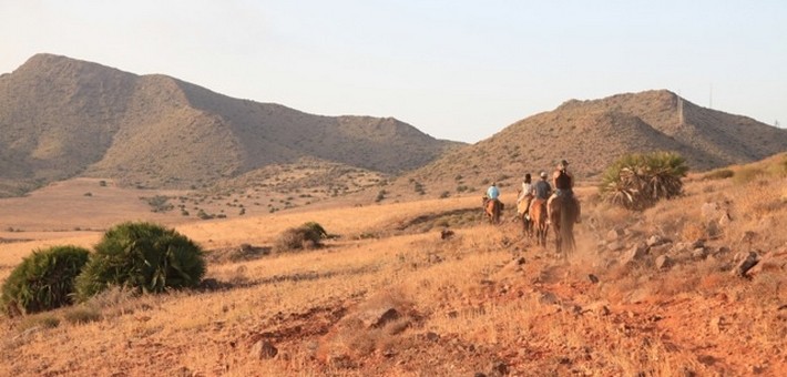 À la découverte du chuchoteur Pat Parelli et de sa méthode, en Andalousie - Caval&go